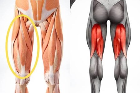 پکیج برای تمامی سنین مناسب است و در صورتی که مشکل فیزیکی خاصی در زانو، کمر یا پاها نداشته باشید، می‌توانید تمرینات را انجام دهید.